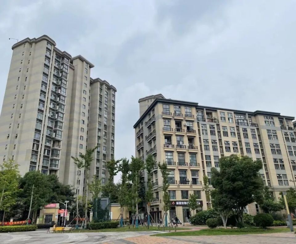 聚力提升生态环境质量,让群众生活更美好,金海街道是这样做的