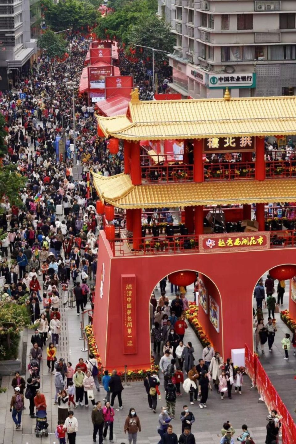 2024年2月6日,广州越秀西湖花市回归西湖路,教育路区域举办,一开市便