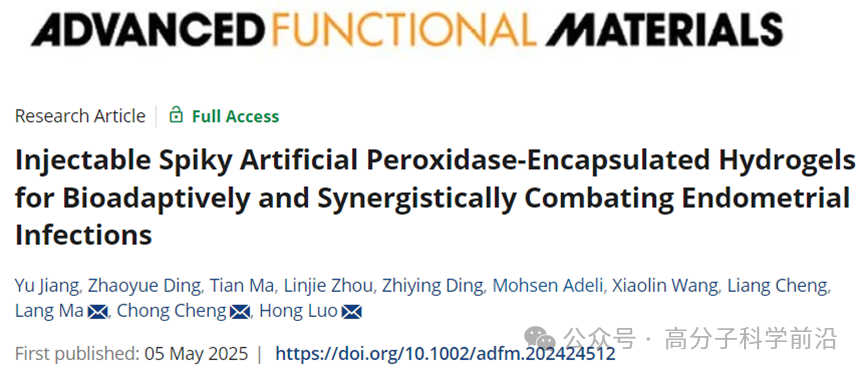 抗菌水凝胶怎么操作四川大学马朗、程冲、罗红团队《AFM》可注射刺状人工过氧化物酶复合水凝胶，用于生物适应性和协同对抗子宫内膜感染_https://www.jmylbn.com_新闻资讯_第1张