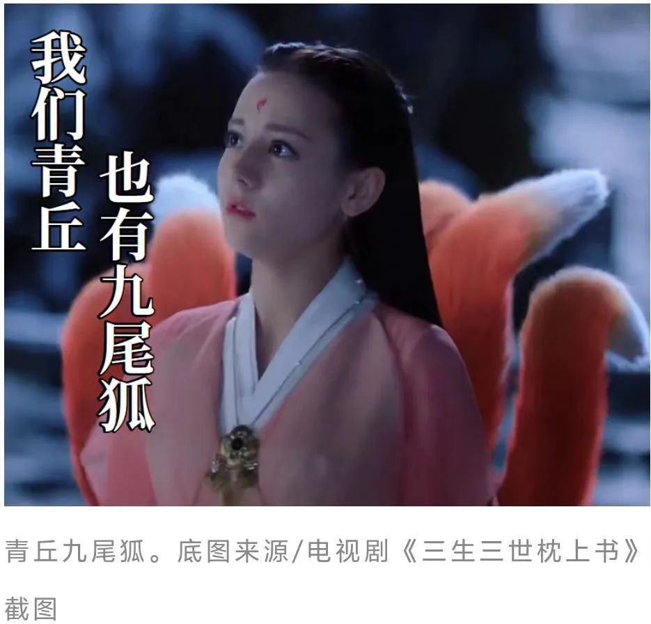九尾狐们常姓的涂山,到底在哪里?