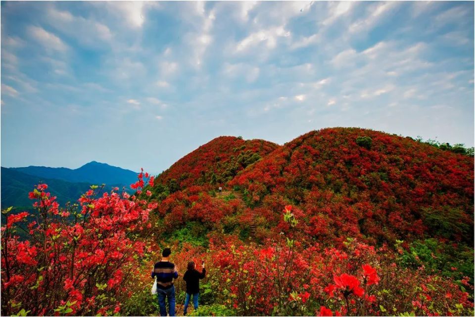 萍乡景区有哪些景点图片