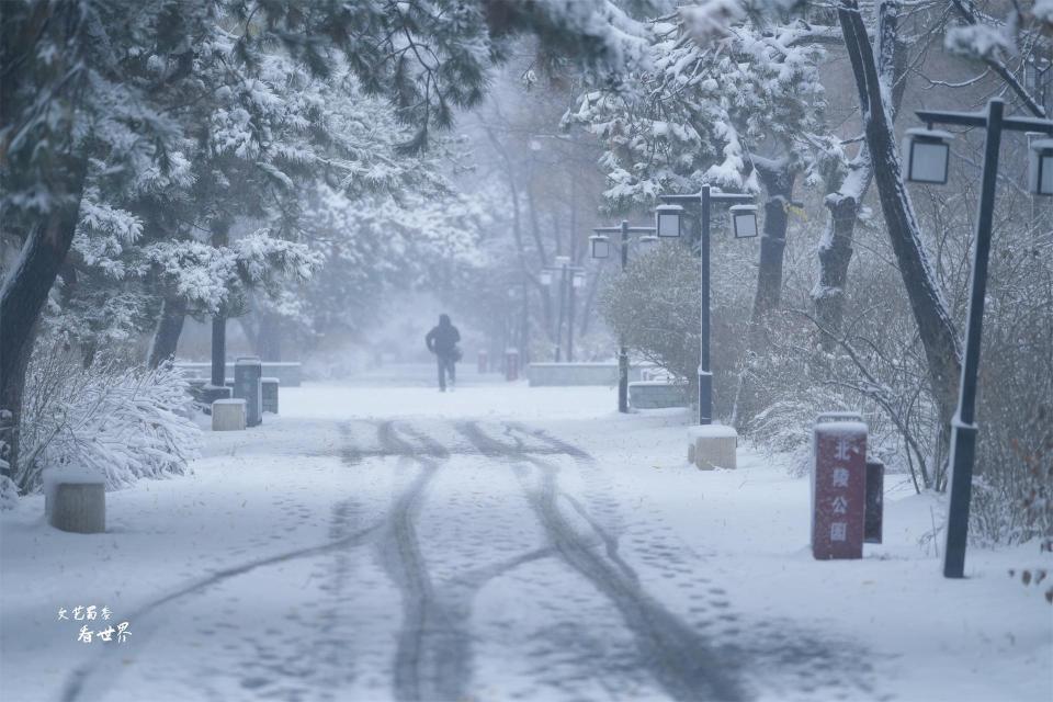 大雪实景图图片