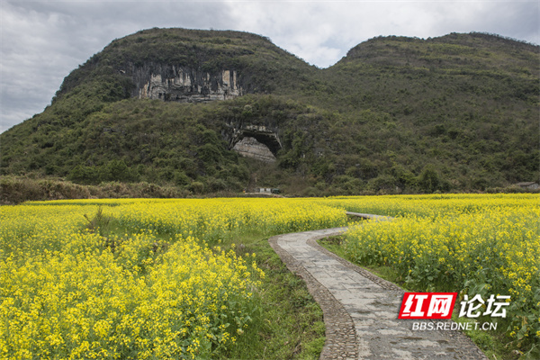 寻景记 | 道县"月岩":山外春光明媚,山内别有洞天_腾讯新闻
