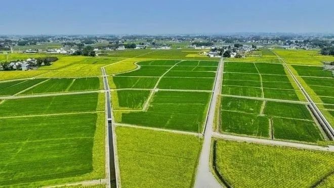 “国家级”名单正式公布！青神县以四川排名第一上榜_腾讯新闻