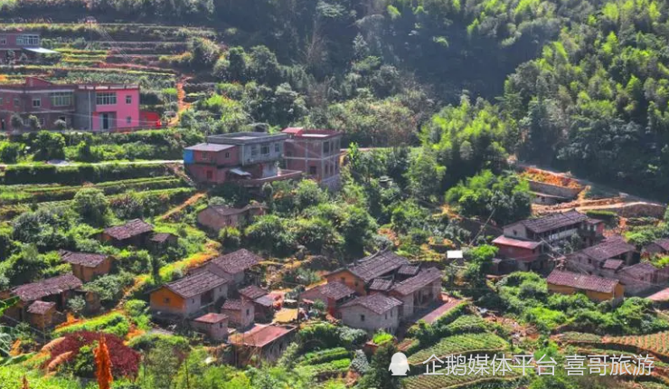 大坪乡,隶属于福建省泉州市安溪县,地处安溪县南部,东连龙门镇,西,北