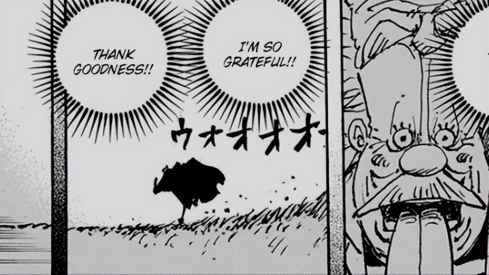 海贼王1102话尾田再次贡献神级分镜一页画令无数读者泪奔