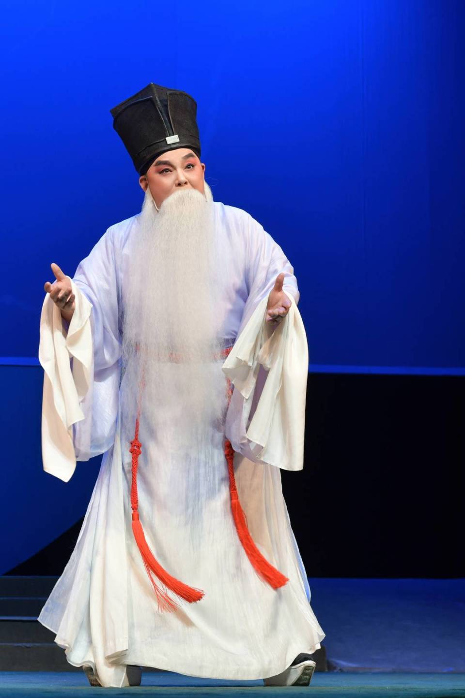 心系传统文化推广与保护 全国政协委员陈智林:文化人的春天来了丨代表