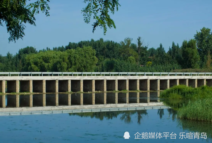于新河镇阎家村西入北胶莱河.其支流有中淄阳河,南淄阳河和北淄阳河.