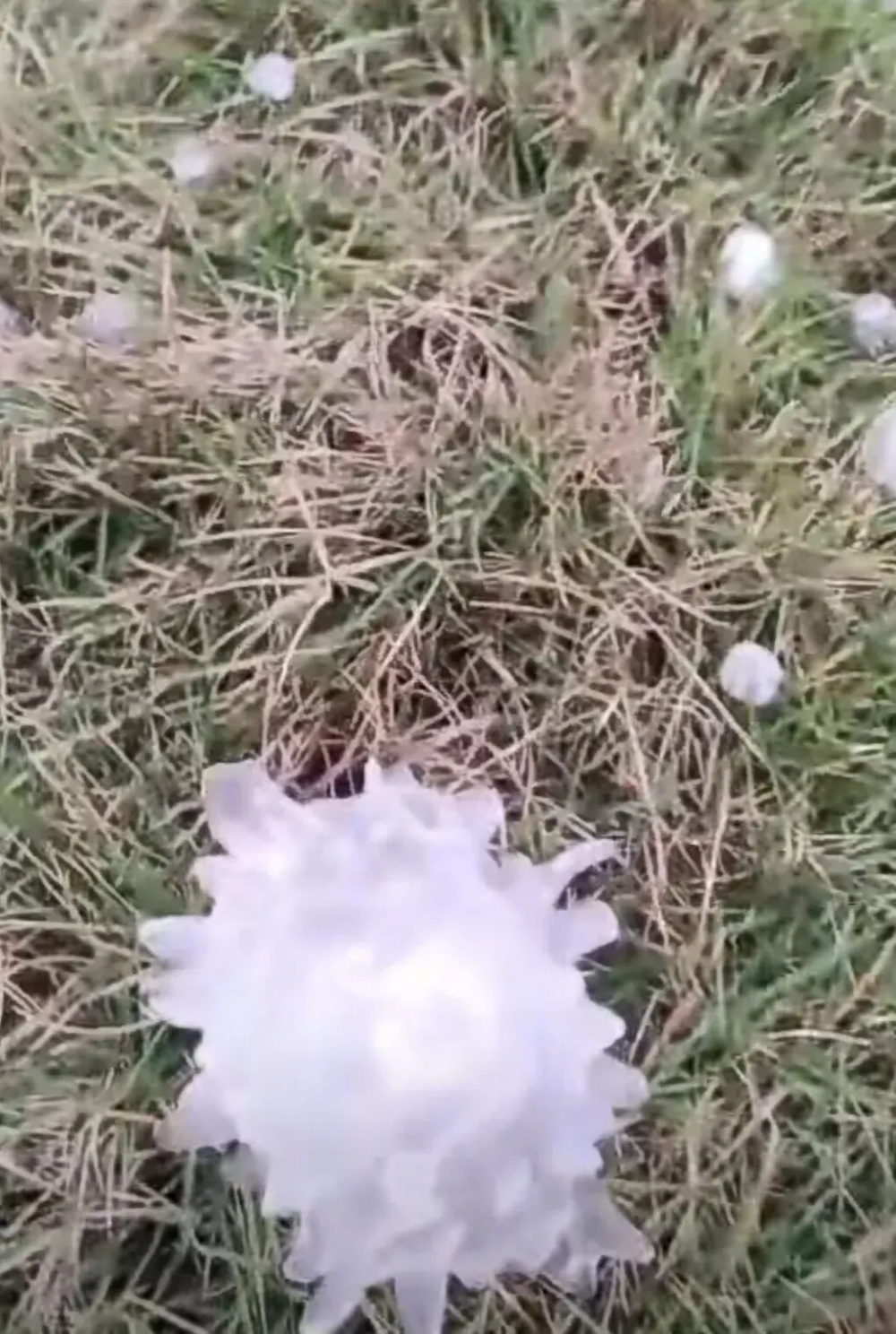 广西百色市多地区清明逢冰雹加阵雨刷屏网络 小如汤圆