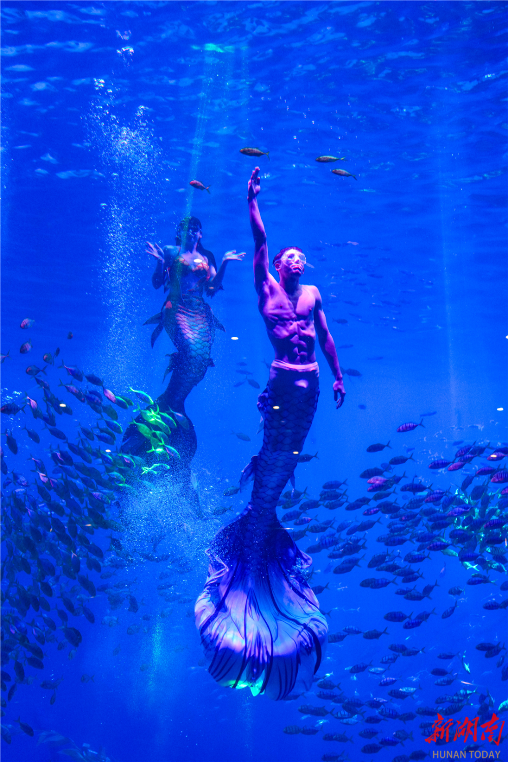 长沙湘江欢乐海洋公园"鲸"喜9连开