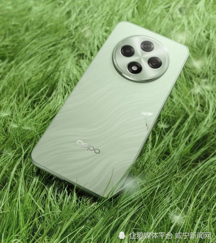 手机电池什么牌子的最好最耐用?oppo a3防水又抗摔