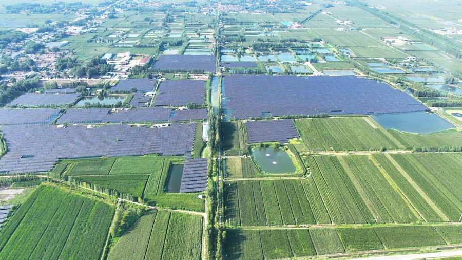 枣庄市峄城区底阁镇:腾笼换鸟绘就发展新图景_腾讯新闻