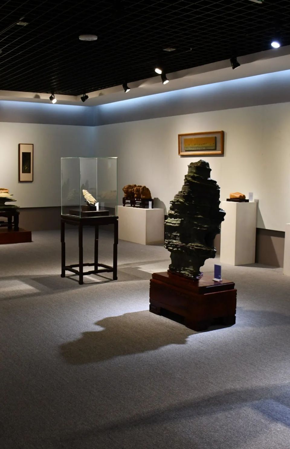 在江源,与春天撞了个满怀_腾讯新闻