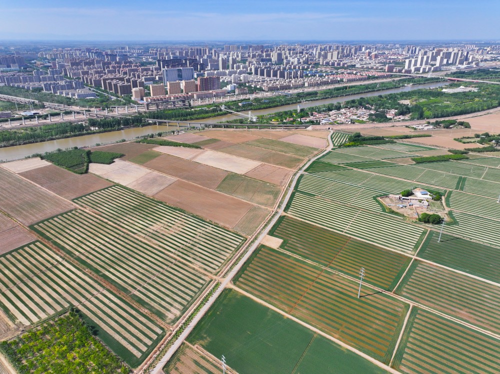 连振 摄这是在巴彦淖尔市临河区乌兰图克镇,黄河水用于灌溉农田(5月26