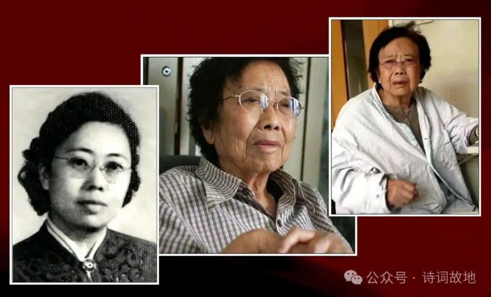 主政湛江五年,刘小华最终没有实现他当初的诺言.