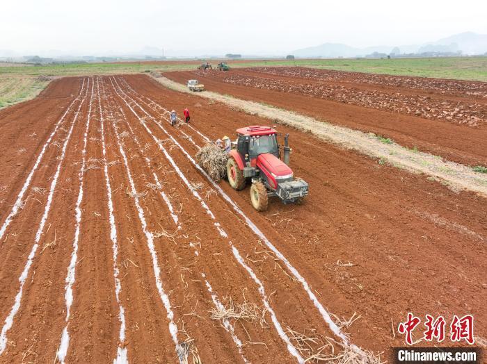 广西甘蔗春耕牵手无人化驾驶农场用上效率倍增器