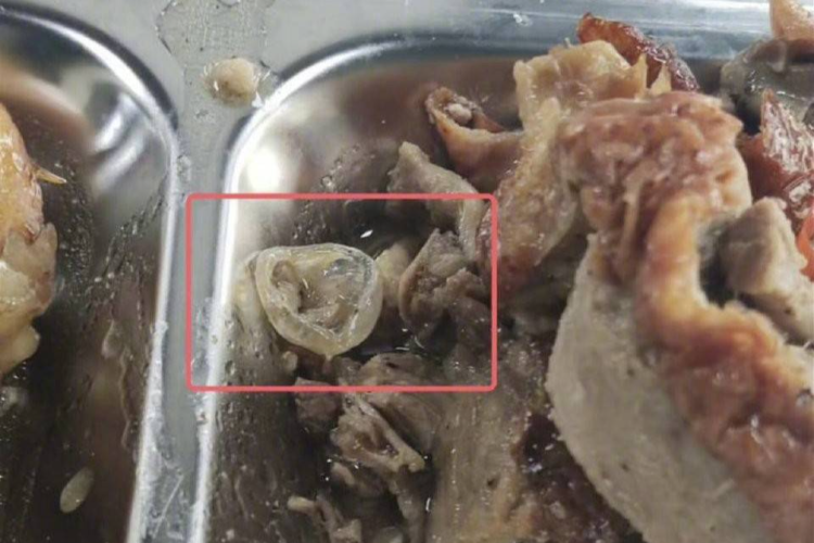 “高度可能”是鸭眼球膜，这个结论为什么更加可信到底是什么意思-313啦实用网