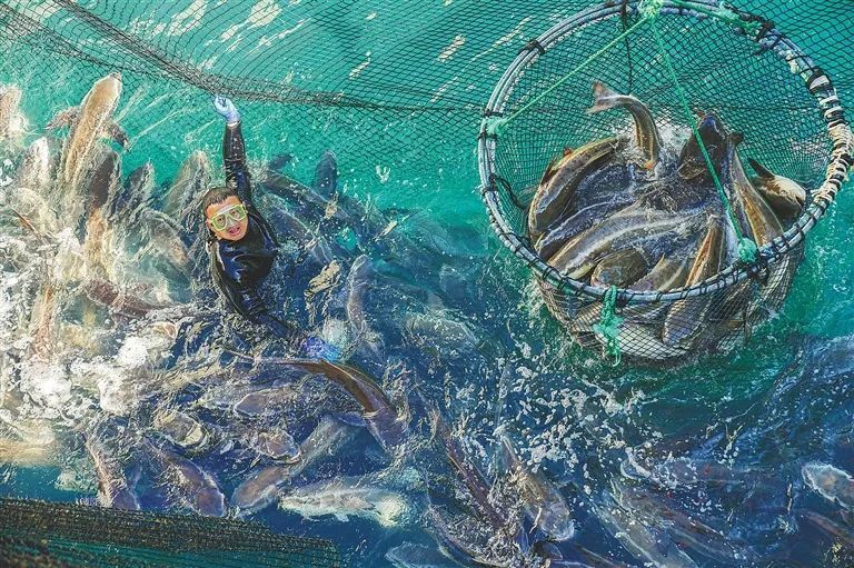 向海图强!看海南如何发力?_腾讯新闻