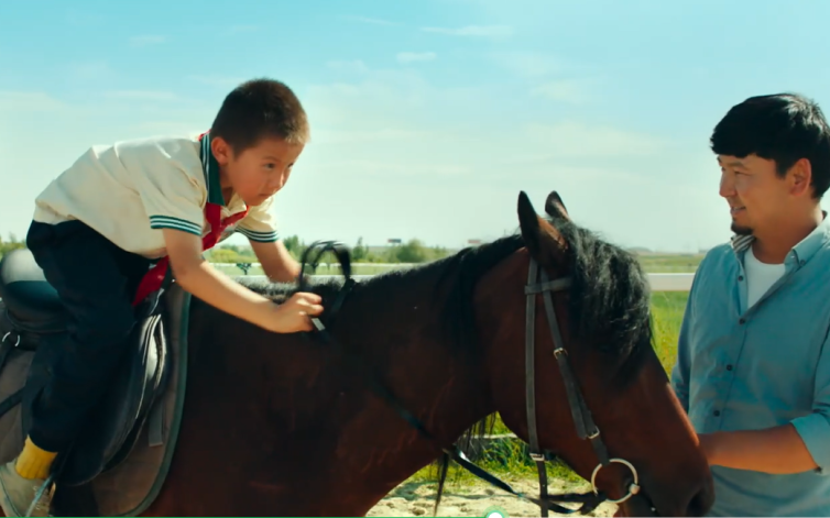 金鸡奖提名影片《小马鞭》热映,专家称其回归儿童片本色