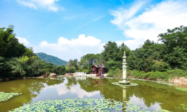 夏天均温23℃,湖光山色古镇田居,这个季节最值得去!