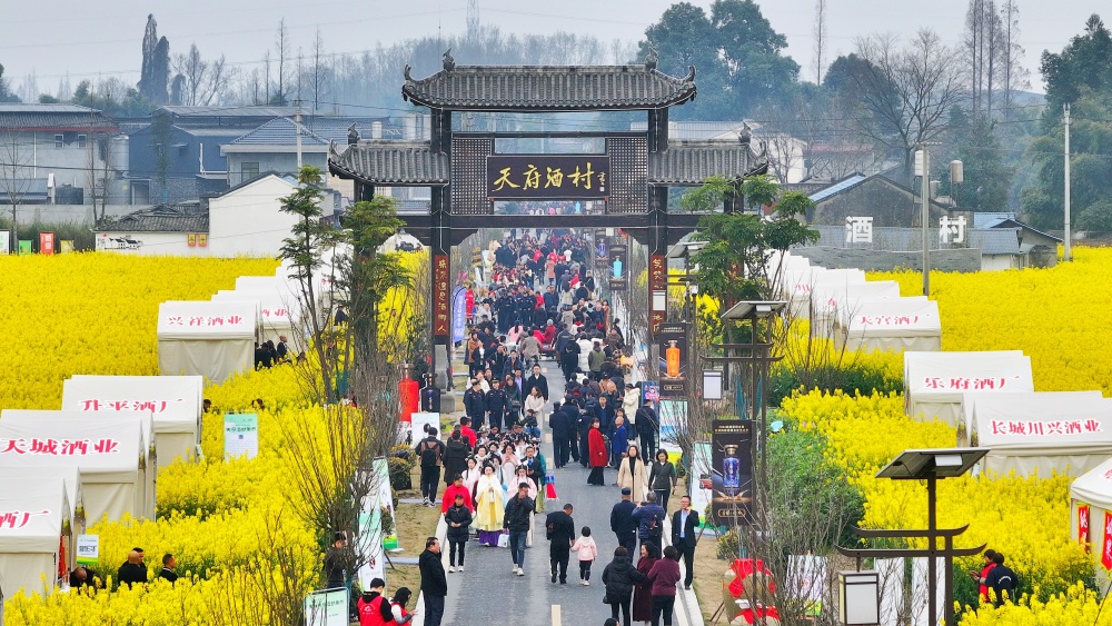 首页全新改版升级啦