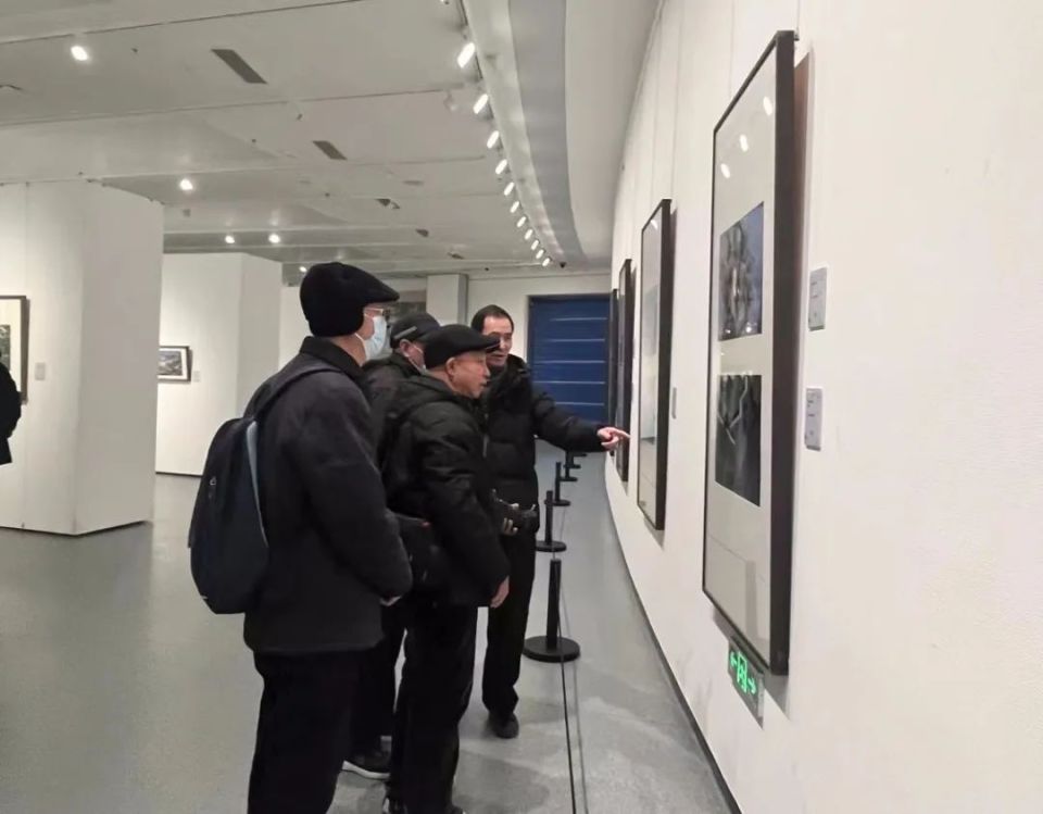 “光影共见——2024保定市首届艺术摄影展”开展_腾讯新闻