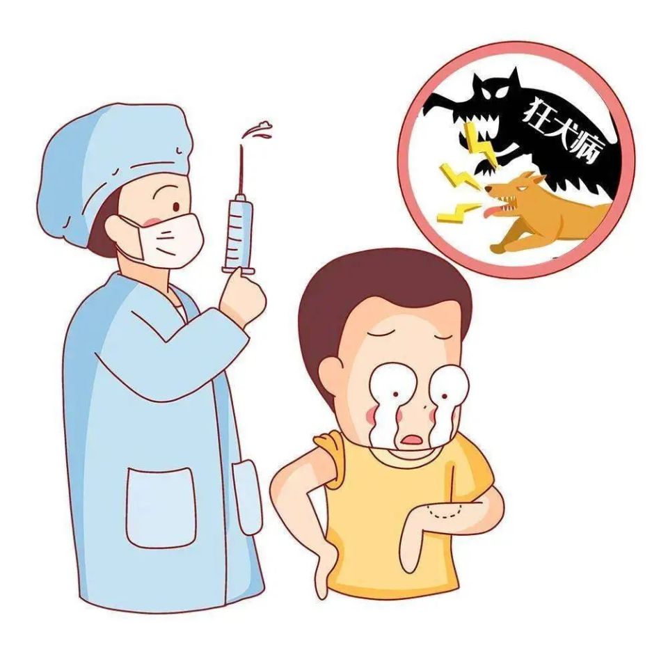 夏天到,犬狂躁,这些狂犬病救命知识要知道!