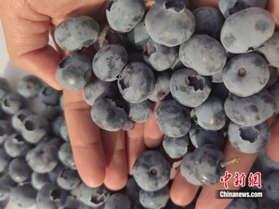 人这一辈子,一定要去一趟丰林!