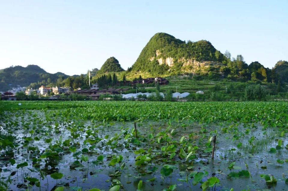 贵州与四川云南交界有个市,名气不大风景秀丽,出了多个世界之最