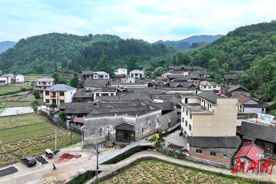 沅陵县荔溪乡打架图片