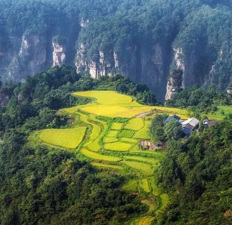 中国最美梯田,你去过几个?