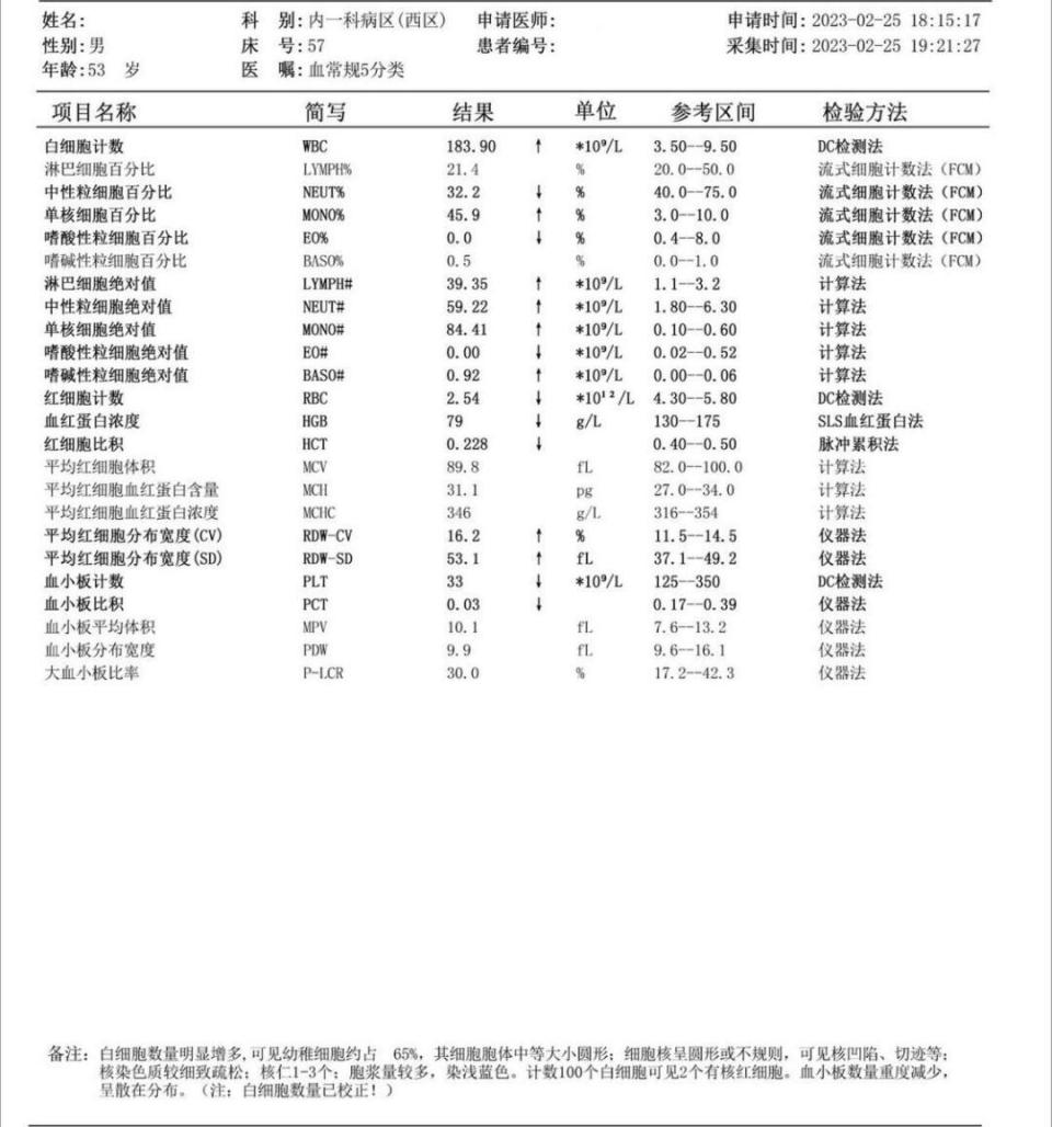 伴有t(6;9)(p23;q34)/dek-nup214融合基因的急性髓系白血病