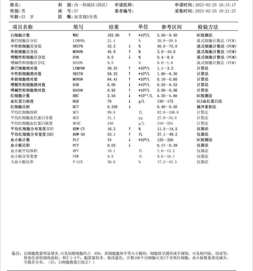 白血病怎么检查图片