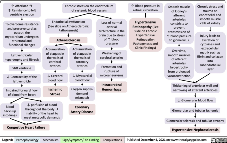 abpm血压怎么看全球高血压用药史转折点：40年首个新靶点药物III期成功_https://www.jmylbn.com_新闻资讯_第6张