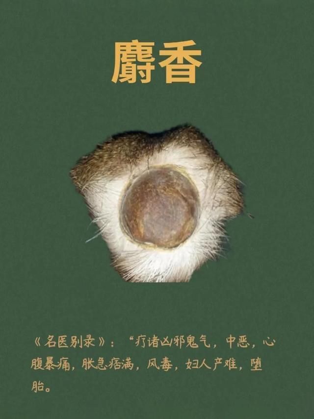 2,麝香性辛香,可行散,起到活血散结,消肿止痛之功效.