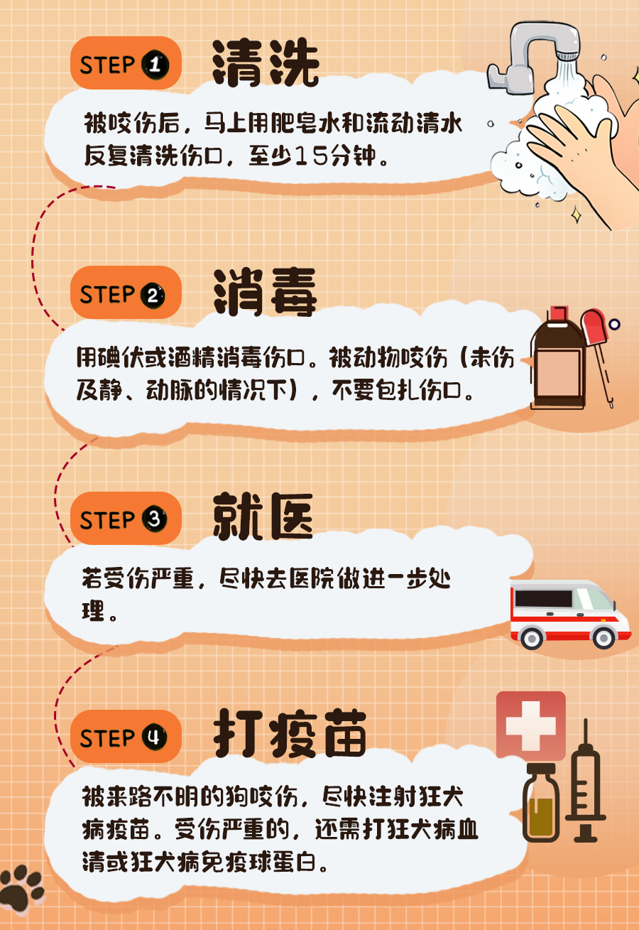 【泉州】社区月接种八九百针!狂犬病预防处置门诊最近很忙,医生提醒