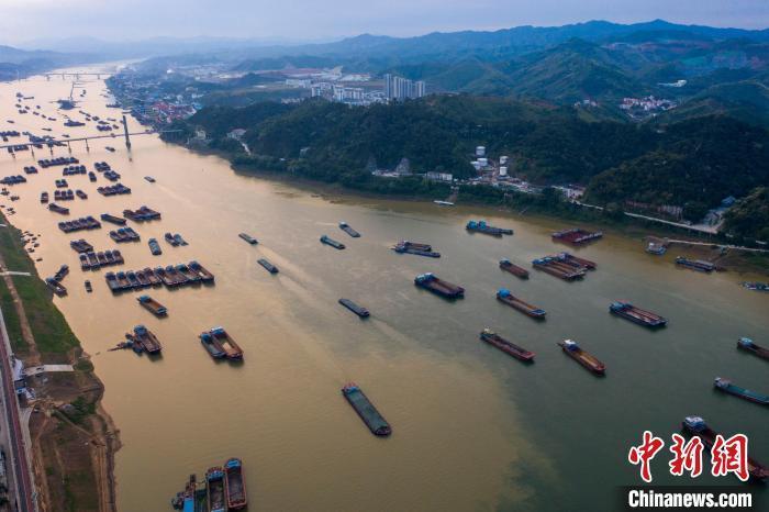 航拍西江航运干线广西梧州段:船舶往返穿梭一派繁忙