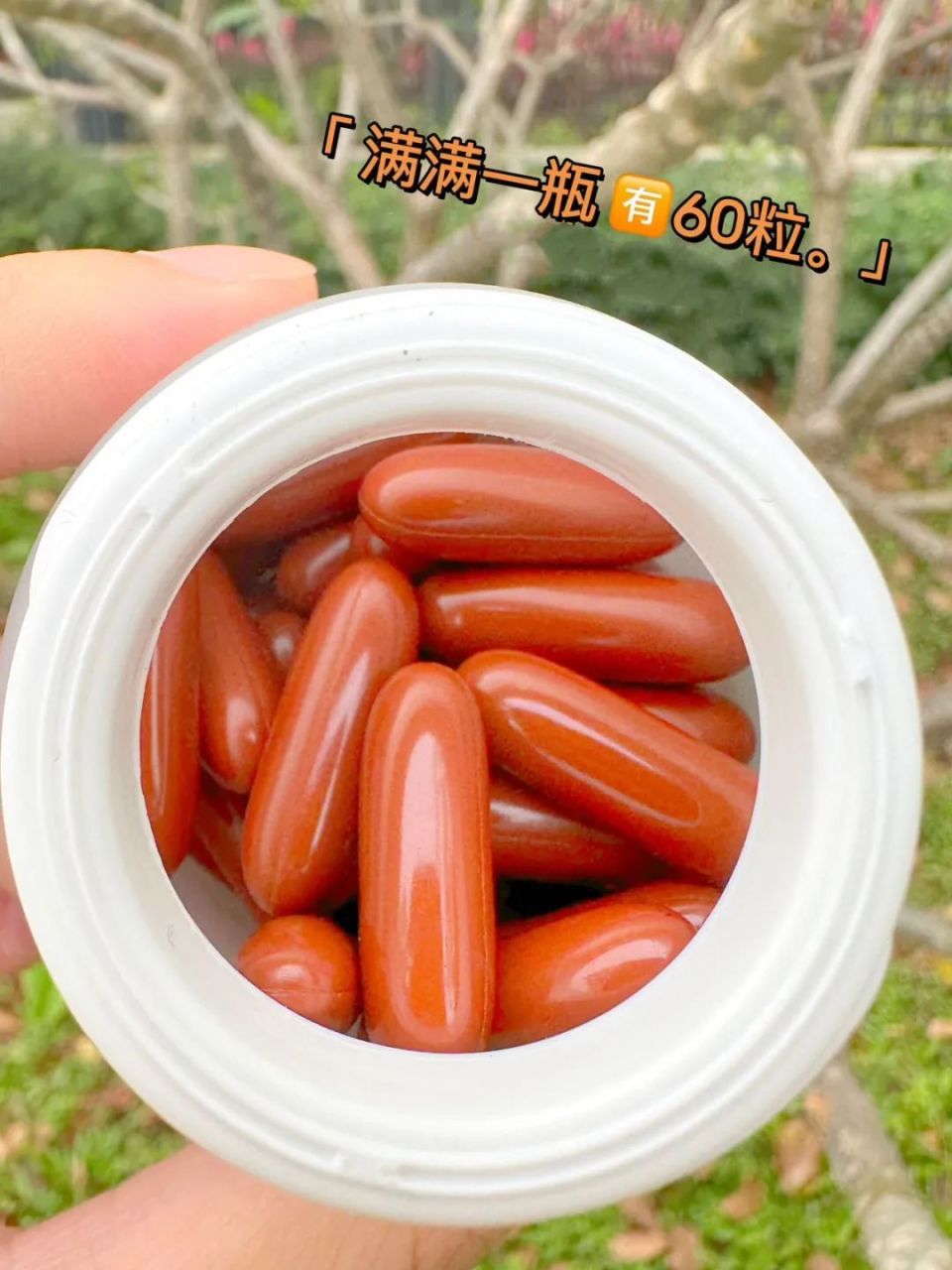 呐兔的产品设计真的很贴心,爱了爱了~呐兔叶黄素软胶囊60粒/瓶单瓶
