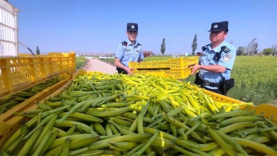 出国劳务的费用_出国劳务费用国家规定_出国劳务价目表