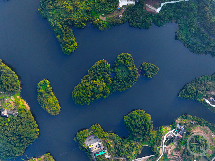 巴南龙岗水库生态美