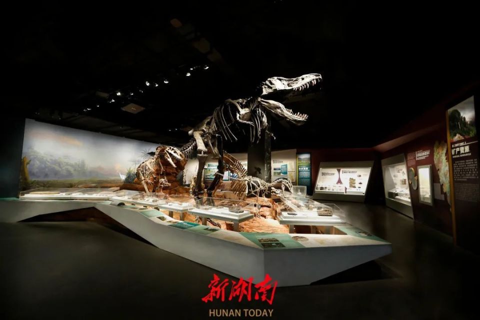 湖南新增4家国家一级博物馆,都有什么亮点?