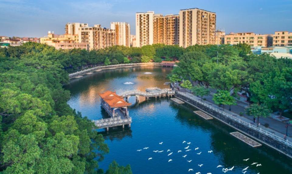 云起新篇｜松洲街：打造社区红色文化阵地，建设现代产业群激活松洲经济_腾讯新闻