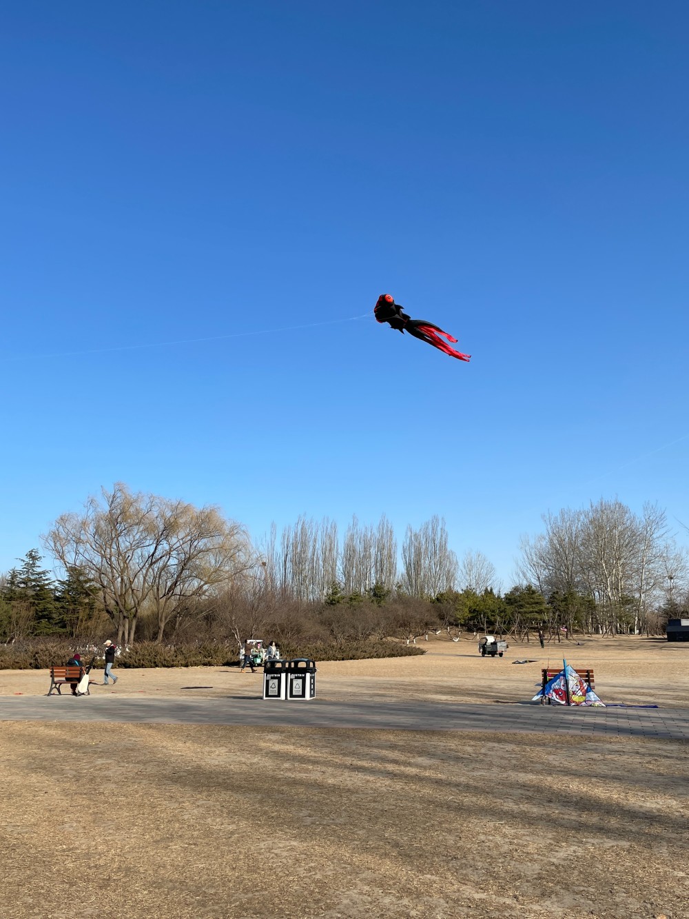 忙趁东风放纸鸢朝阳公园有片“风筝胜地”八年级上册历史试题及答案蚂蚁文库2023已更新(网易/微博)八年级上册历史试题及答案蚂蚁文库