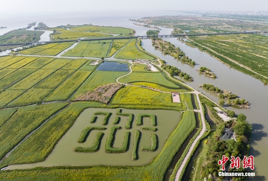一城一湖两河三堤航拍京杭大运河畔江苏高邮水乡胜景