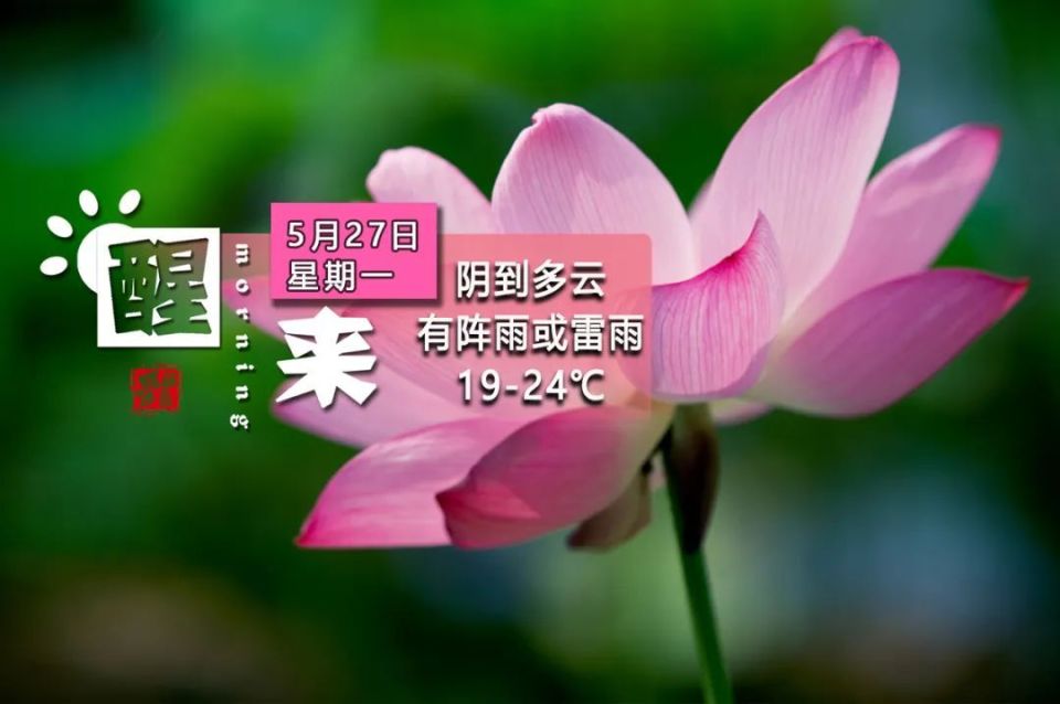 天气提醒weather19至24℃阴到多云有时有阵雨或雷雨中到大雨来袭天况