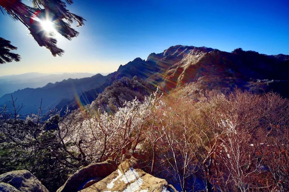 占据河南半壁江山的八百里伏牛山,到底藏了多少宝?