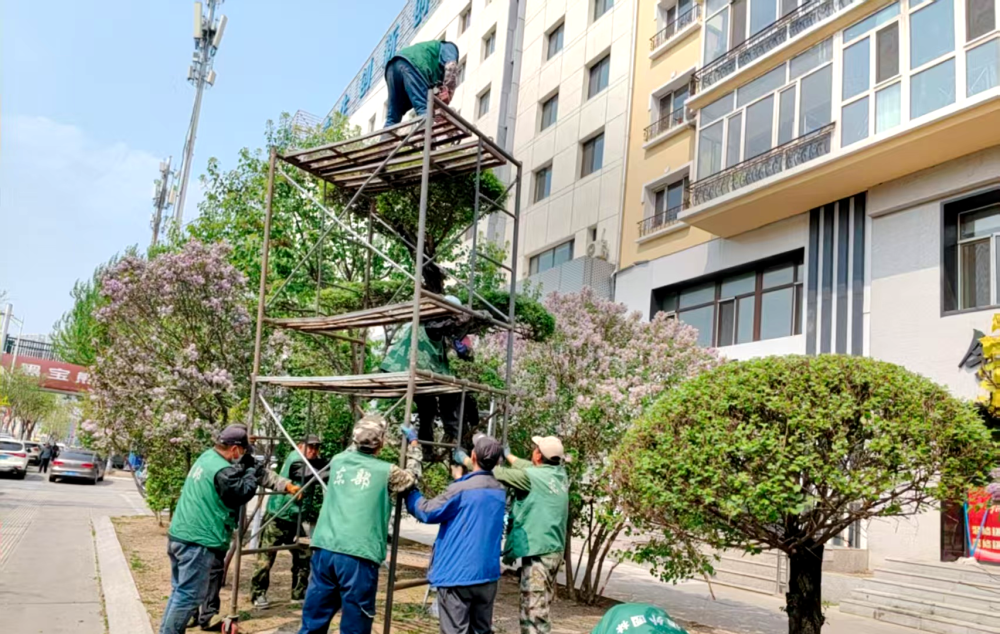 哈尔滨市道外区提升园林绿化景观效果
