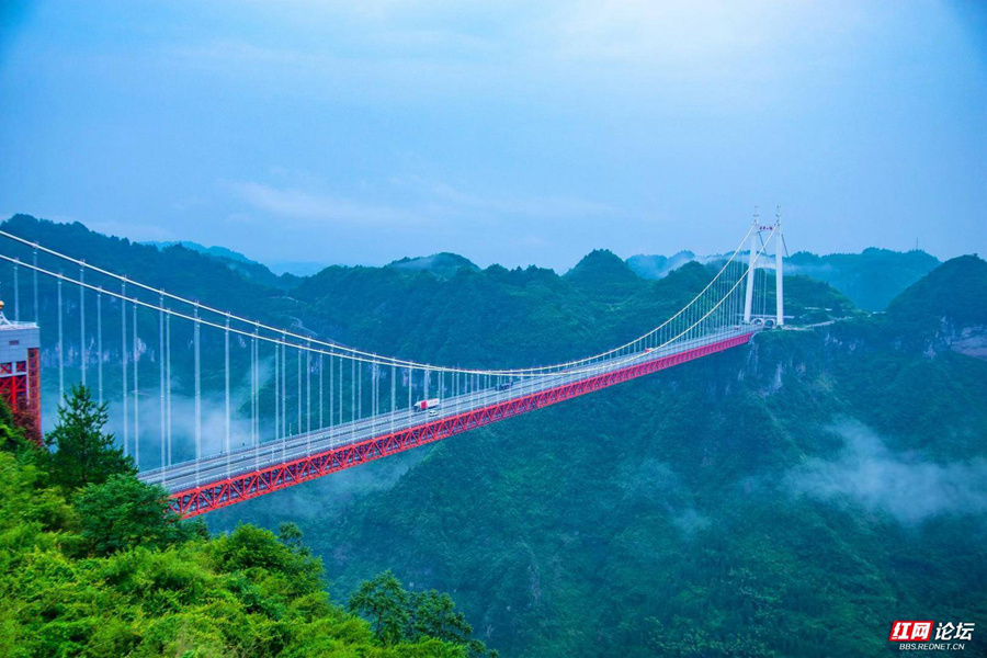 生态文学丨熊幽:天上有座桥