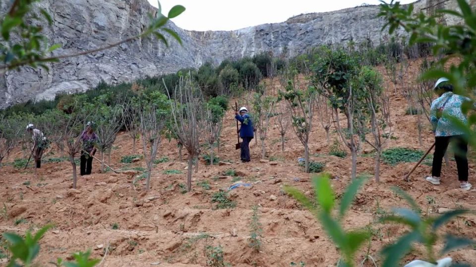 在纸坊镇九顶山东片区历史遗留废弃矿山生态修复示范工程现场,工作