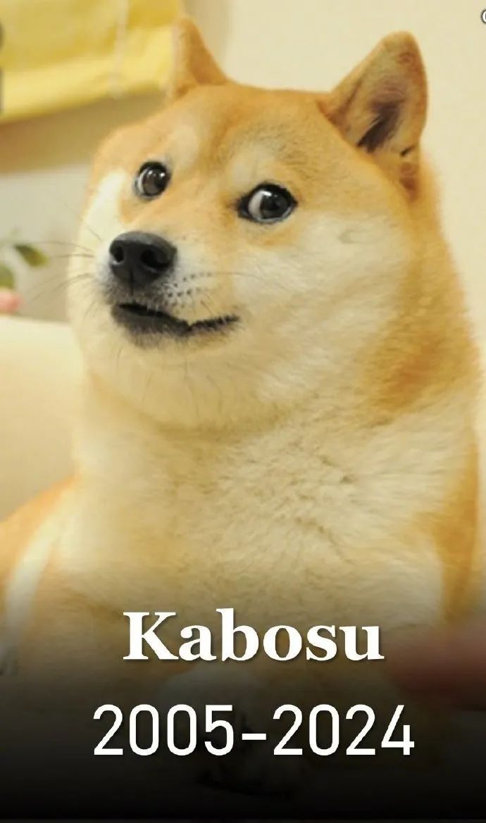 doge表情包柴犬去世:也是狗狗币原型